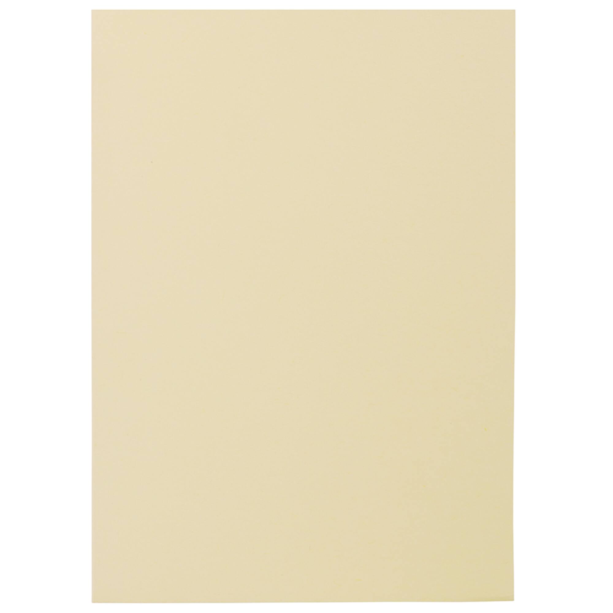 JAM Paper 4.62" x 6.25" Ivory Blank Foldover Cards